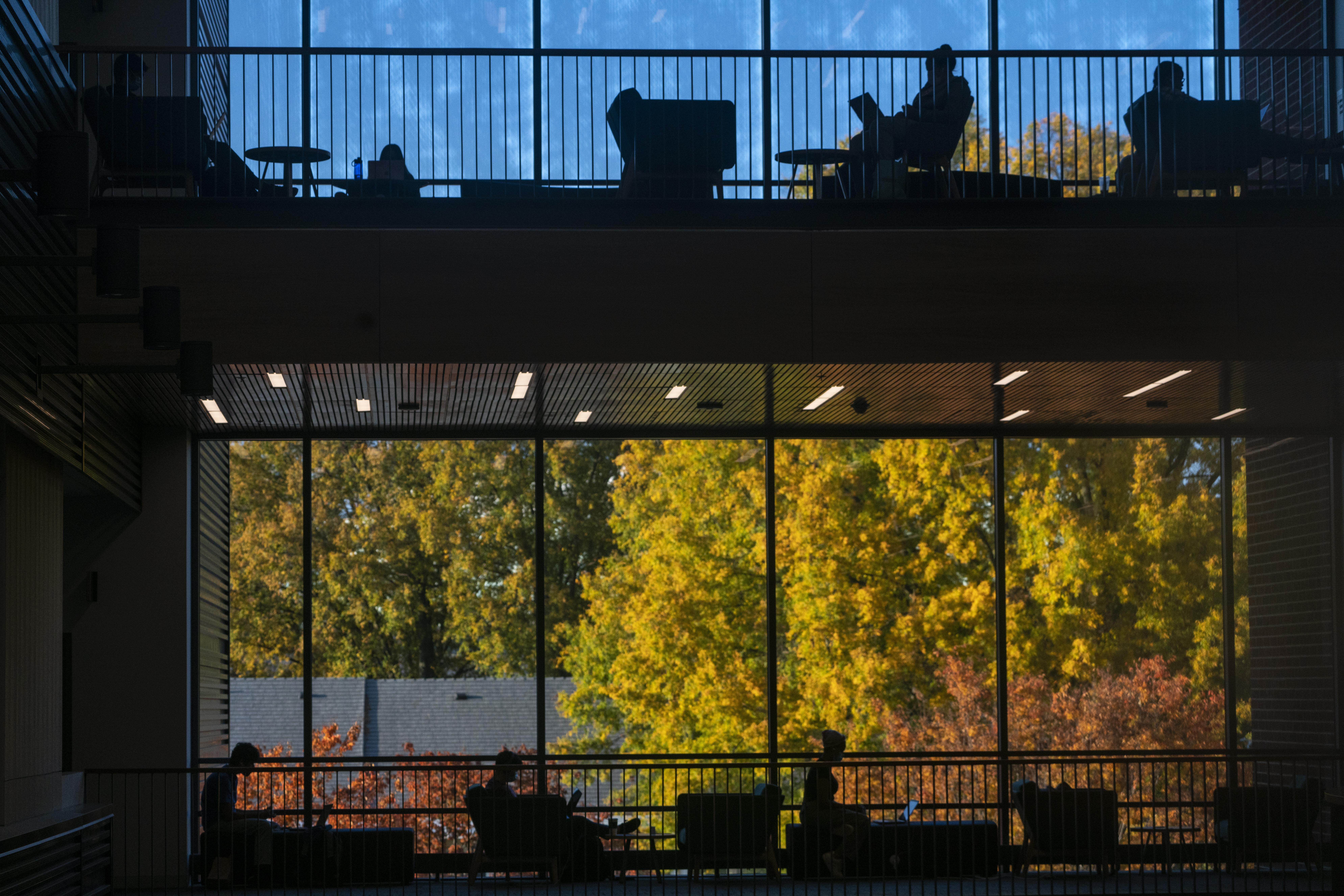 Study spaces in Horizon Hall. People studying are seen as shadowed silhouettes, while the drama in the photo comes from the blue sky and fall foliage that shows through the tall glass windows behind the students. It makes for a sharp and dynamic contrast of color.