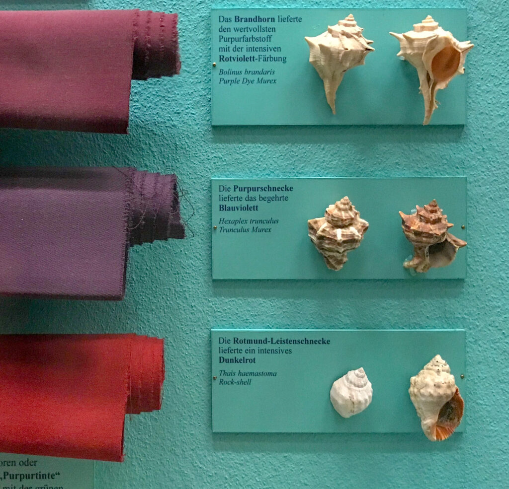 Museum exhibit of three dyed purpled cloths (one a warm purple, another a cool purple, and another closer to red) placed alongside various sea snails that were used to make the dye.